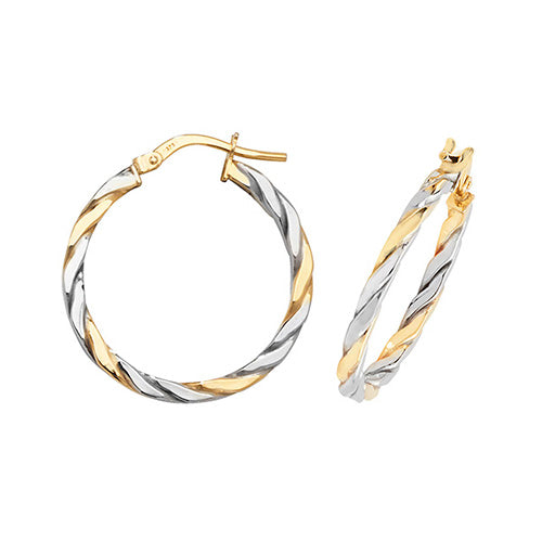 Hoop Earrings in 9K Gold