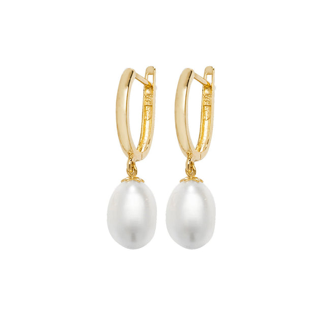 9K Yellow Gold Drop Earrings | Charmé